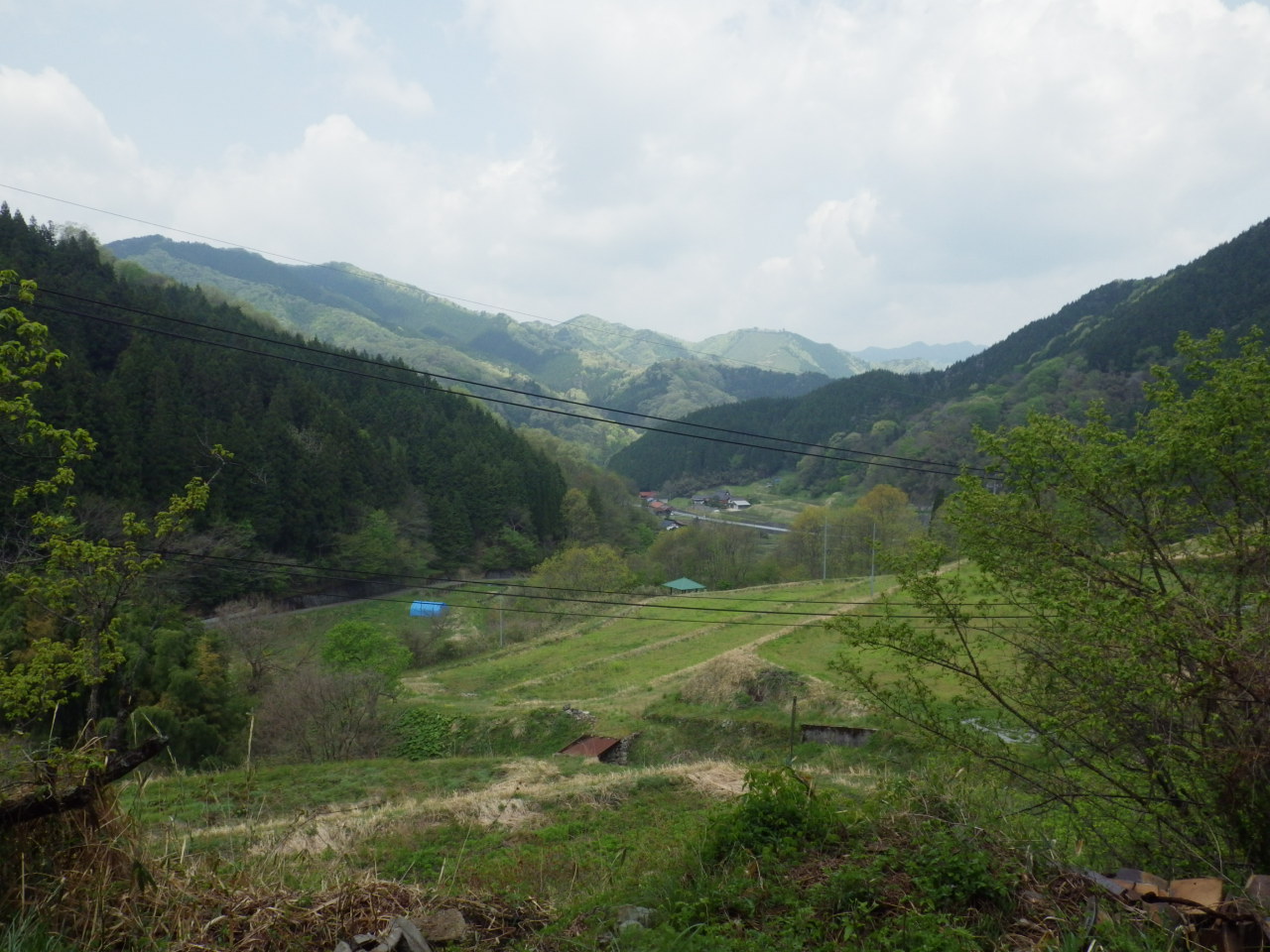 c0300035_10353643.jpg