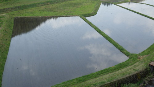 c0300035_1035715.jpg