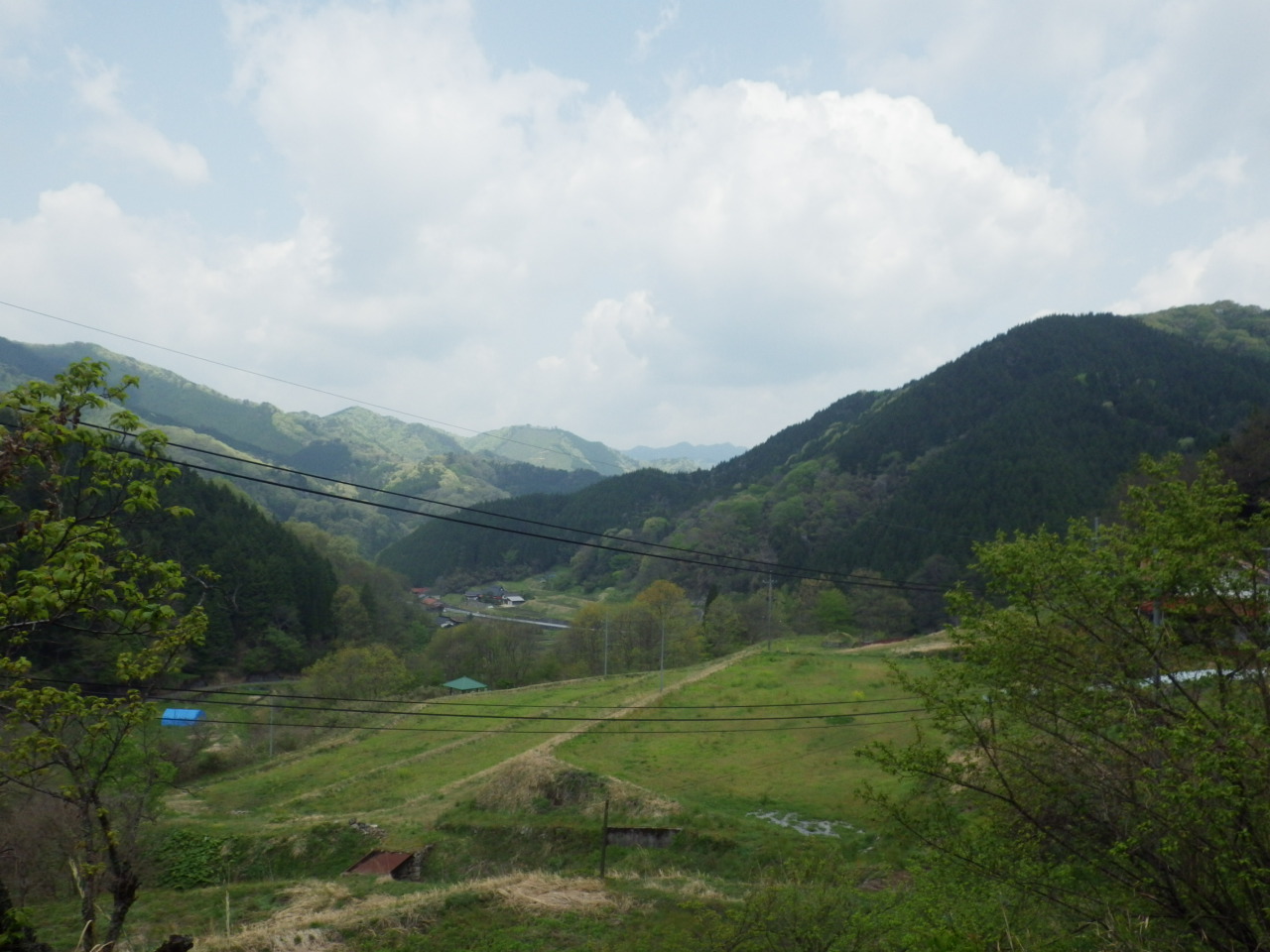 c0300035_10374967.jpg
