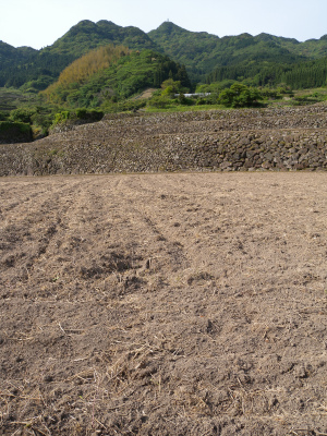 e0272335_21213740.jpg