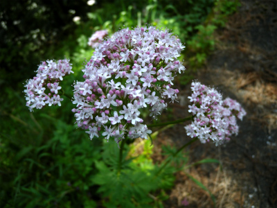 e0272335_21573052.jpg