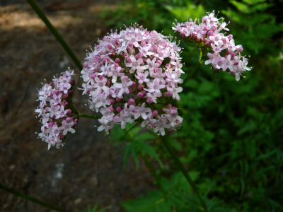 e0272335_21575668.jpg