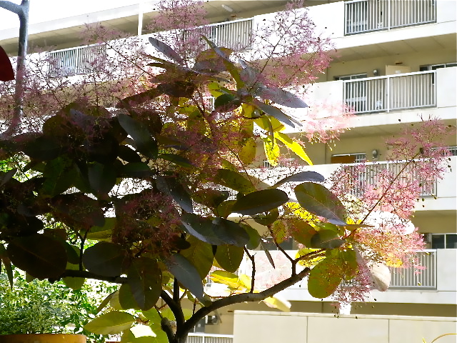 b0027736_1535570.jpg