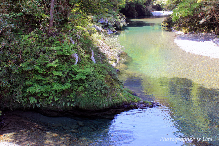 e0083238_2241664.jpg