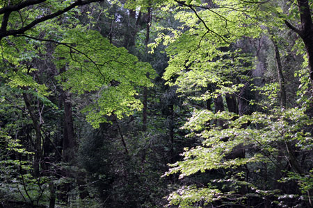 c0068639_17183283.jpg