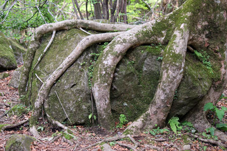 c0068639_17203380.jpg