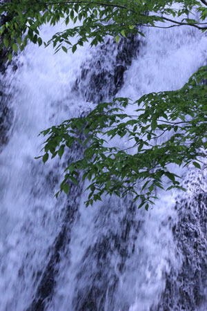 c0068639_175566.jpg