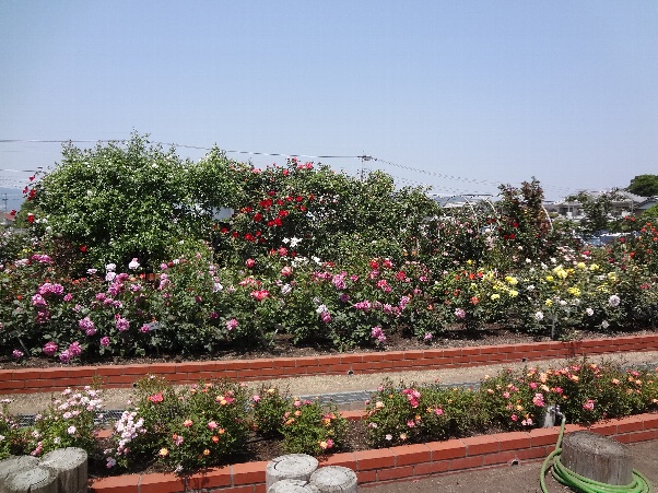 b0149340_1621780.jpg