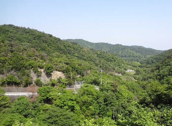 b0149340_16493037.jpg