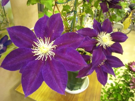 c0025140_20462568.jpg