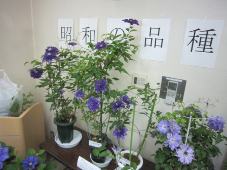 c0025140_2046547.jpg