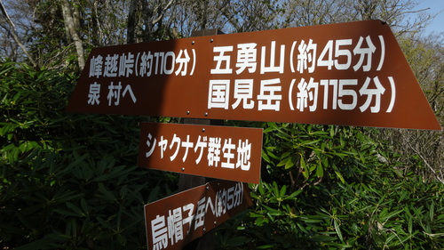 a0289641_2118098.jpg