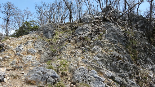 a0289641_21313957.jpg