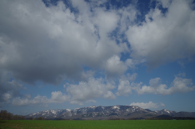 d0165741_17521763.jpg