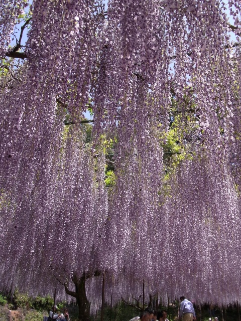 b0017844_23135841.jpg