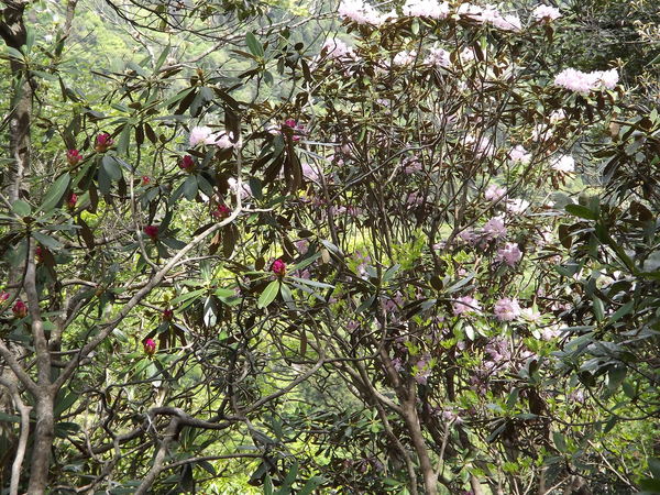 a0206345_8224491.jpg