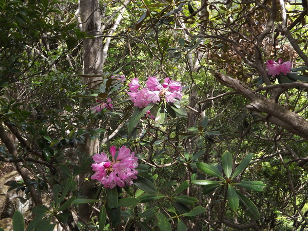 a0206345_8381780.jpg