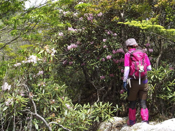 a0206345_857143.jpg