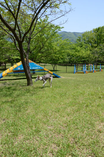c0087047_2232082.jpg
