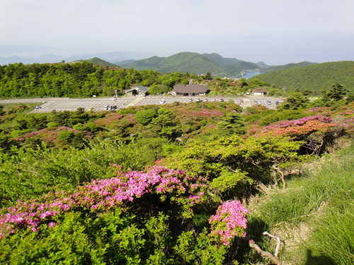 c0179351_19492238.jpg