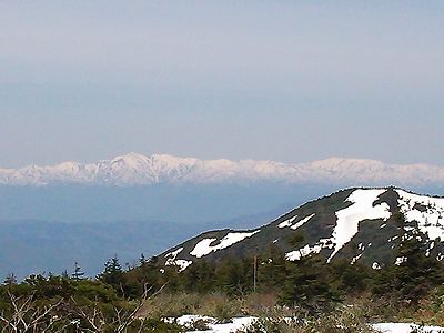 a0096557_15102986.jpg