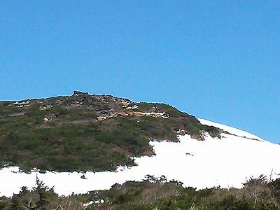 a0096557_1593316.jpg