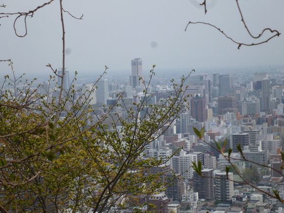 a0193457_9405953.jpg