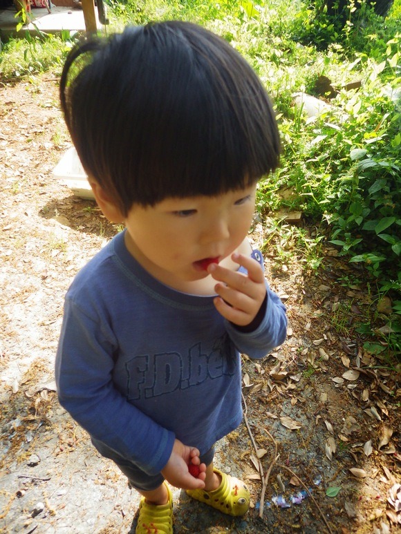 f0201157_10335645.jpg