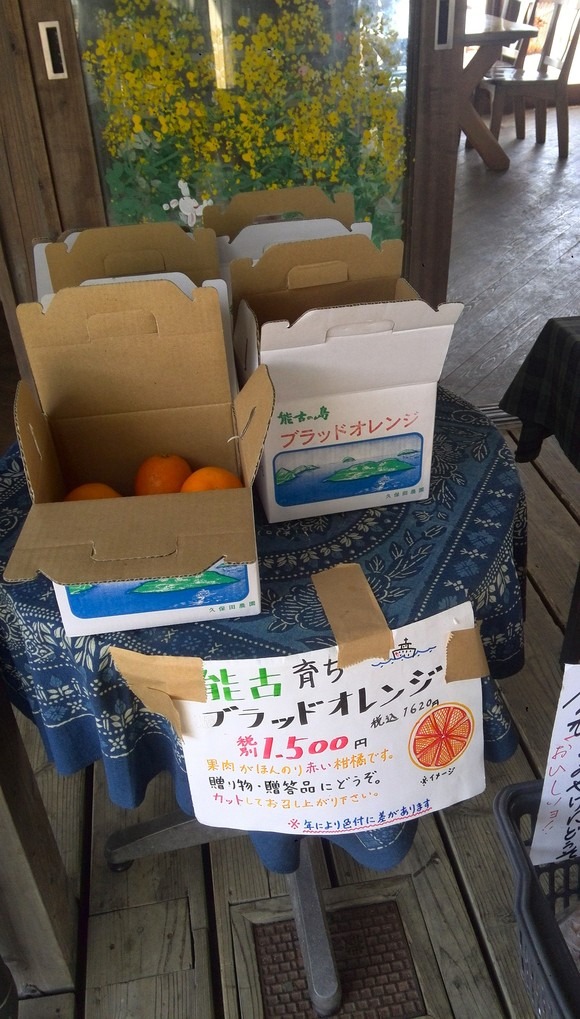 f0201157_10343541.jpg