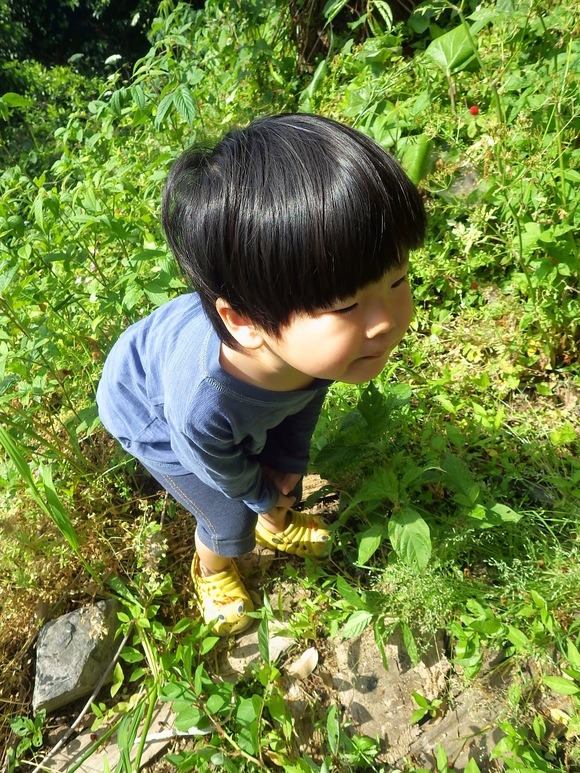 f0201157_103478.jpg