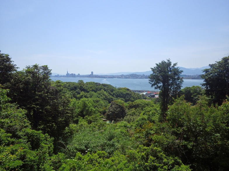f0201157_12125843.jpg