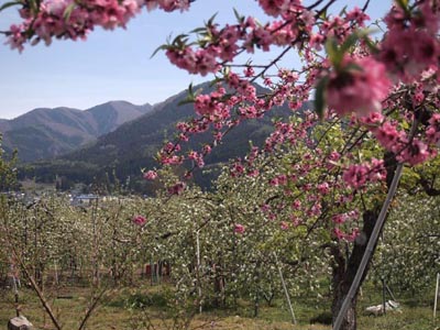 c0011862_854288.jpg