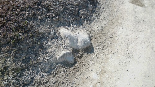 f0139466_1943986.jpg