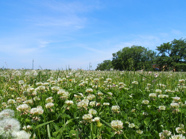 c0122670_21351870.jpg