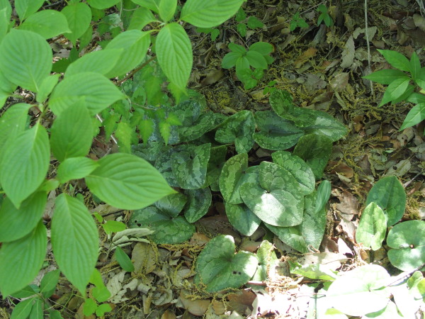 c0122670_22045484.jpg
