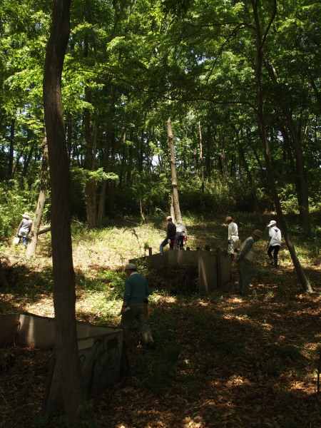 c0122670_22050140.jpg