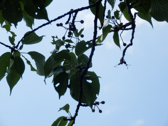e0292172_2117879.jpg