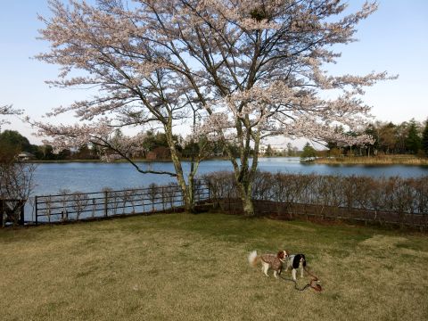 f0047773_14391162.jpg