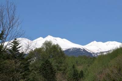 f0182173_12242215.jpg