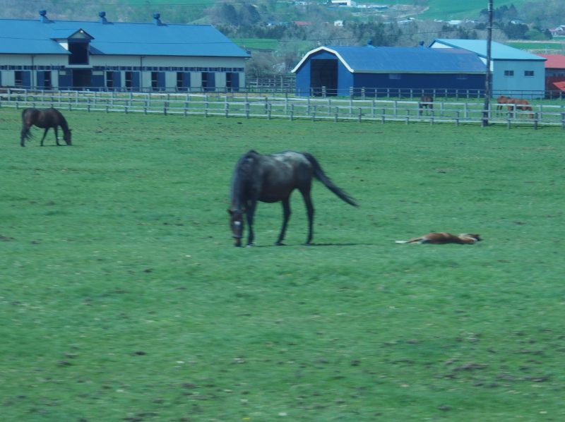 c0183777_11234943.jpg