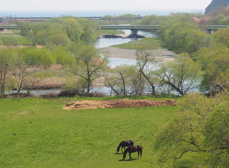 c0183777_11365171.jpg