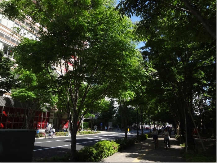 e0227680_21194438.jpg
