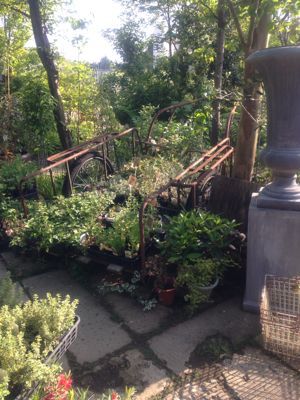 c0198485_14183168.jpg