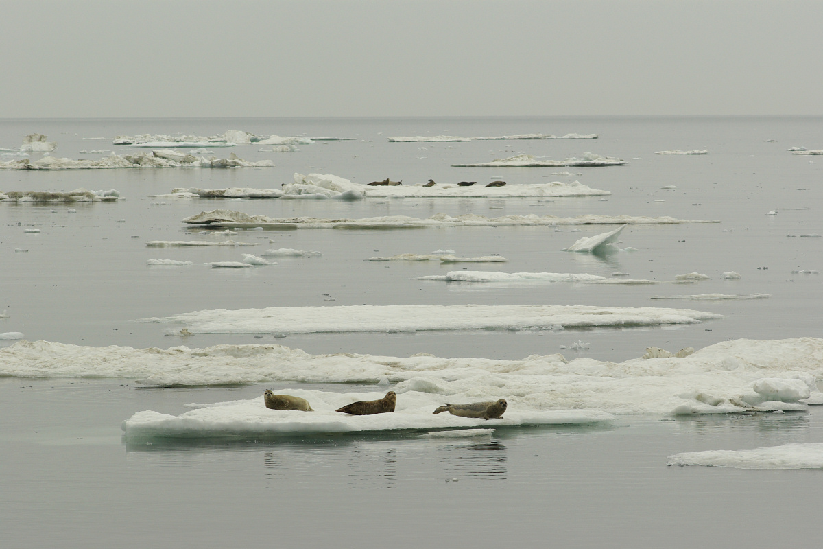 e0051186_20554317.jpg