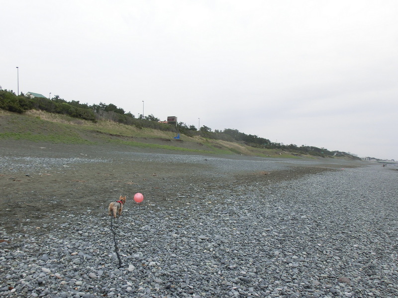 e0123587_1115277.jpg