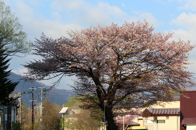 a0127090_0354816.jpg