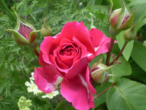 a0135990_22134844.jpg