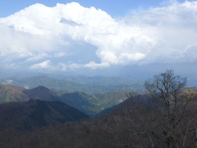 a0229491_23273352.jpg