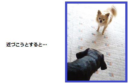 d0282395_1310097.png