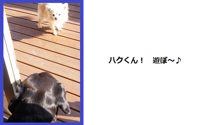 d0282395_13101976.png